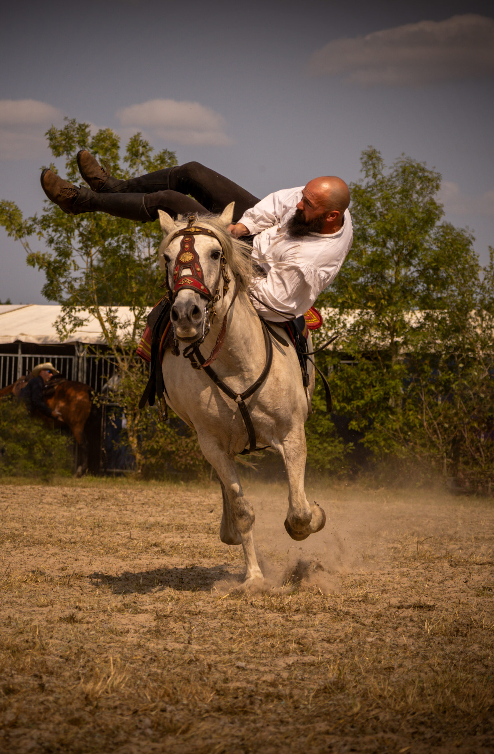 cheval1